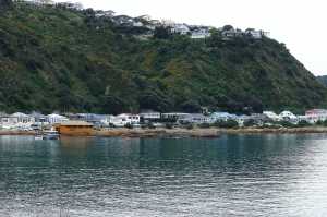 OWHIRO-BAY (8)